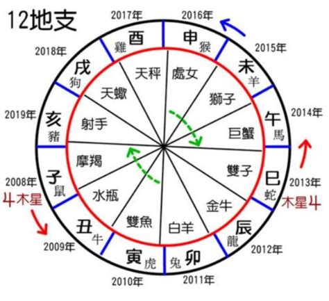 12地支|十二地支与生肖